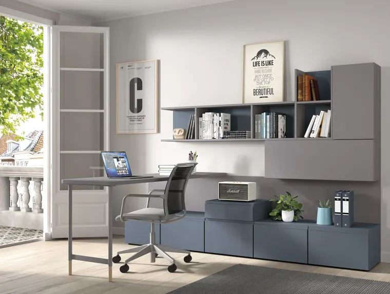 Teletrabajo F-356